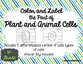 Plant and Animal Cells Color and Label Parts