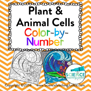plant and animal cell coloring