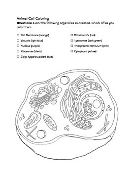 Plant and Animal Cells Drawing Worksheets by The Wright Ladies | TpT