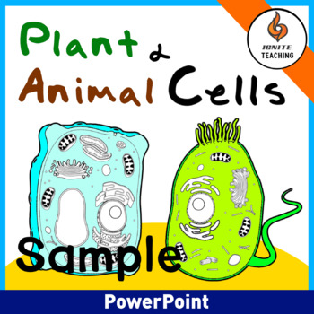 Plant and Animal Cells { FREE PowerPoint sample} by Ignite Teaching