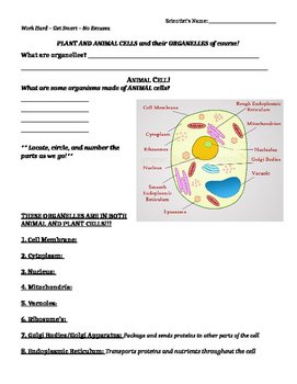Preview of Plant and Animal Cells Guided Notes