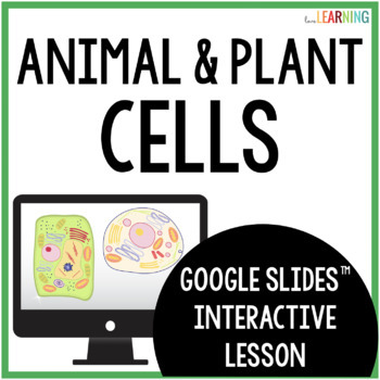 Preview of Cells - Plant and Animal Cells Interactive Google Slides™ Lesson