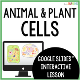 Cells - Plant and Animal Cells Interactive Google Slides™ Lesson