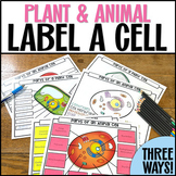 Plant and Animal Cells Labeling and Coloring Biology Diagr