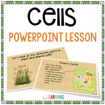 Plant and Animal Cells Slides Lesson and Guided Notes Activity - Life  Science