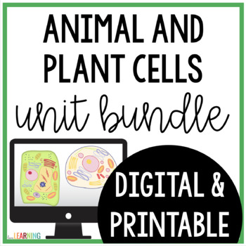 Preview of Plant and Animal Cells Lesson, Interactive Notes, Project, and Test