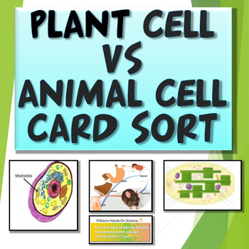 Preview of Plant and Animal Cells MS-LS1-3 Card Sort Cells as Systems Close Reading