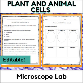 Preview of Plant and Animal Cells - Microscope Lab - Scaffolded & Editable