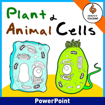 Plant and Animal Cells-PowerPoint Lesson with Cornell notes by Ignite  Teaching