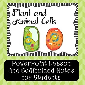 Preview of Plant and Animal Cells {PowerPoint Lesson with Note-taking Study Guide} Google