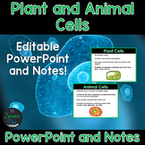 Plant and Animal Cells - PowerPoint and Notes