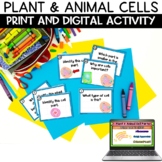 Plant and Animal Cells Review Activity