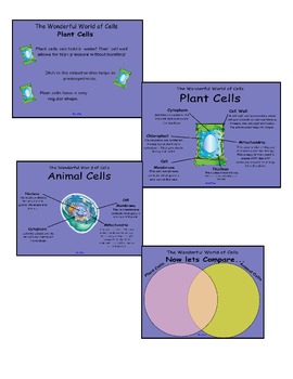 Preview of Plant and Animal Cells SMART lesson