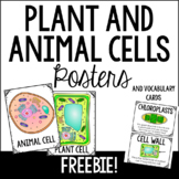 Plant and Animal Cells Science Poster and Vocabulary Cards
