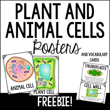 Preview of Plant and Animal Cells Science Poster and Vocabulary Cards