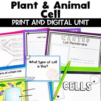 Preview of Plant and Animal Cells Unit