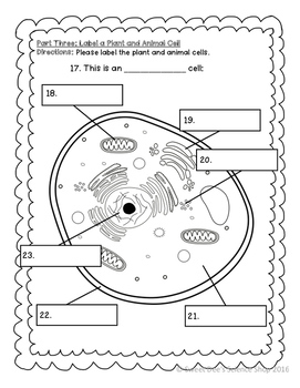 Plant and Animal Cells Unit Test by Sweet Dee's Science Shop | TPT