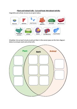 Preview of Plant and Animal Cells Venn diagram - Cut & Paste Activity (Printable) & Easel