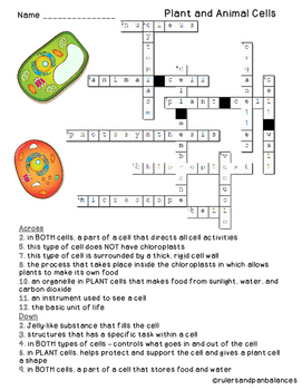 Plant and Animal Cells Vocabulary Crossword Puzzle *Freebie* | TpT
