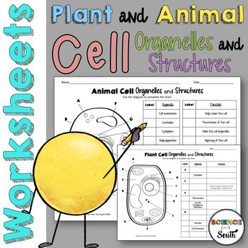 Preview of Plant and Animal Cell Organelles and Structures Worksheets in Print and Digital