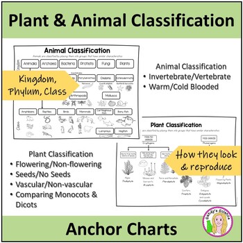 Preview of Plant and Animal Classification Anchor Charts