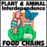 Plant and Animal Interdependence, Habitats, and Food Chains