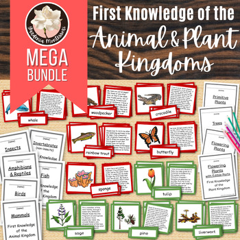 Preview of Plant and Animal Kingdom and Classification Sort - Montessori Zoology Botany