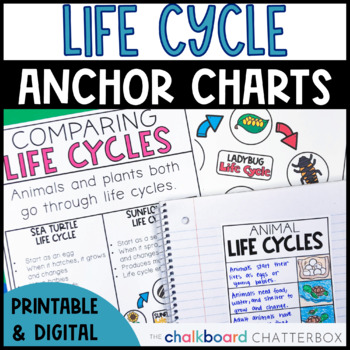 Preview of Plant and Animal Life Cycle Anchor Charts | First and Second