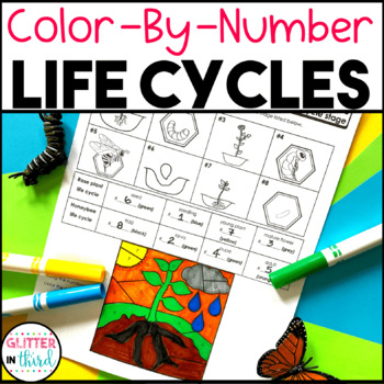 Preview of Plant and Animal Life Cycle Worksheets Activities Color By Number