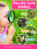 Plant and Animal Life Cycles | Activities & Lessons Bundle