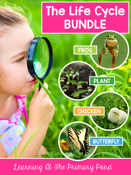 Preview of Plant and Animal Life Cycles | Activity, Craft, Lesson Plan Life Cycle Bundle