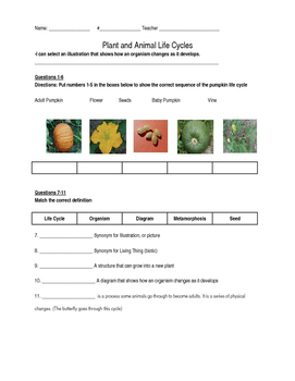 Plant and Animal Life Cycles Assessment by Mrs Jordan | TPT