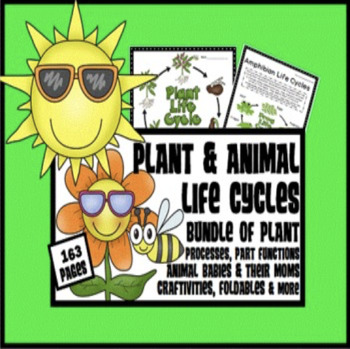 Preview of Plant and Animal Life Cycles BUNDLE Google Slides™ and PDF