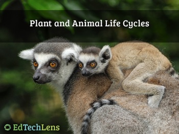 Preview of Plant and Animal Life Cycles Distance Learning PDF