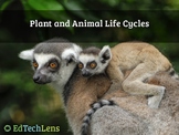 Plant and Animal Life Cycles Distance Learning PDF