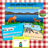 Plant and Animal Life Cycles:  Pear Deck™