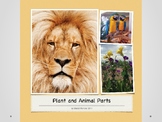 Plant and Animal Parts Power Point Presentation