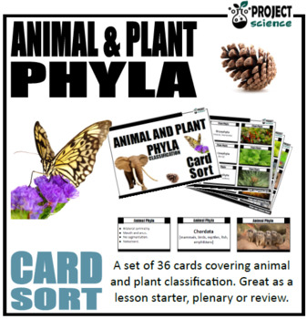 Preview of Animal and Plant Phyla Card Sort