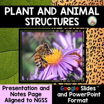 Plant and Animal Structures Presentation and Notes (Distance Learning)