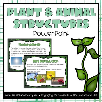 Preview of Plant and Animal Structures Powerpoint