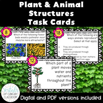 Plant and Animal Structures Task Cards {Digital & PDF Included} | TPT