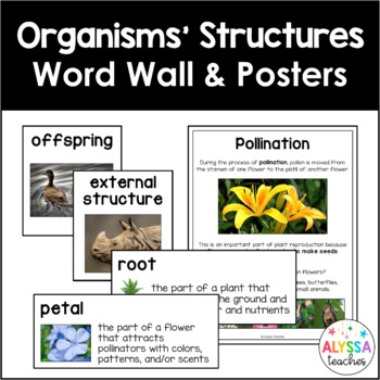 Preview of Plant and Animal Structures Word Wall and Poster Set (SOL 4.2)