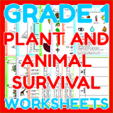 Plant and Animal Survival - Grade 1 Science Worksheets | C
