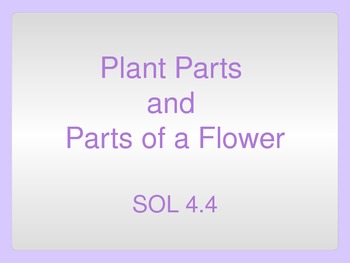 Preview of Plant and Flower Parts Power Point