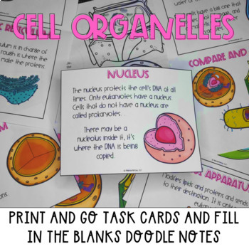 Preview of Plant and animal cell organelles and their functions task cards and cloze notes