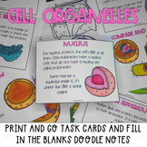 Plant and animal cell organelles and their functions task 