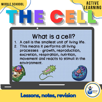 Preview of Plant and animal cells/organelles: worksheets, slides, diagrams, scavenger hunt