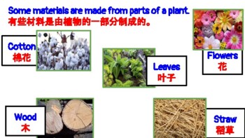 Preview of Plant as Products 植物为产品