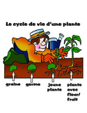 Plant cycle French
