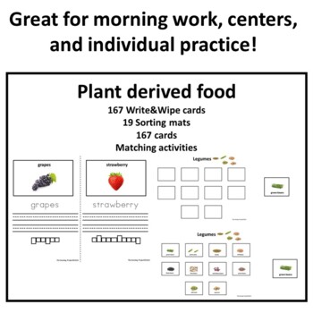 Preview of Plant derived food 167 Write&Wipe cards, 19 Sorting mats, 19 Matching activities